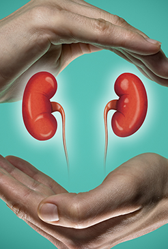 Glomerulaire Nierschade (intro) V2